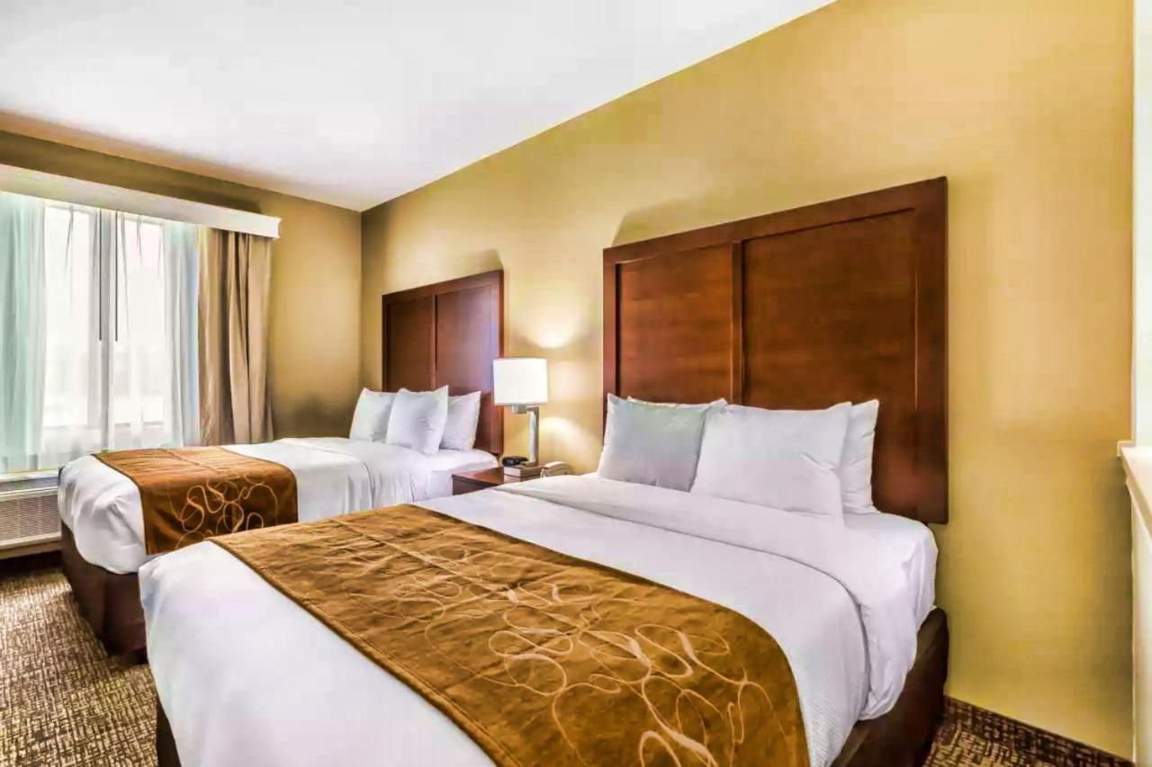 Comfort Suites Houston I45 North Aldine Екстериор снимка